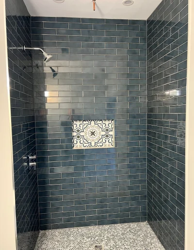 Chicago bathroom shower